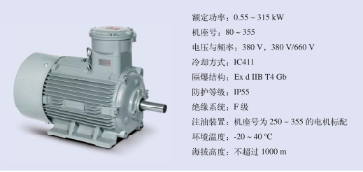 防爆電機(jī)參數(shù)